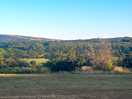 View over the downs