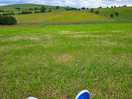 Scenery