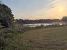 Peaceful