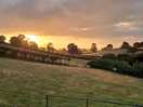 Picture windows indeed - sunrise.