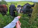 Friendly neighbours