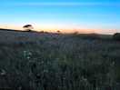 Surrounding fields at sunset