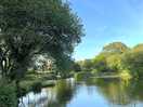A lovely walk around the fishing lakes