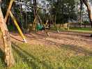 Kids enjoying the evening sunshine