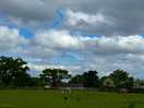 Views of the horses in field next to pitches