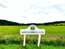 Walks near campsite