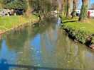 Stream