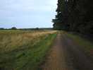 Holkam hall grounds pathway
