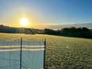 Sunrise at dewslake