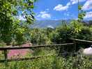 In nature