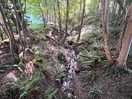 Your own babbling brook