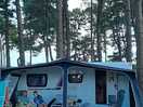 Pitched among the pine trees