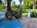 Beautiful gardens looked after by great hosts marc and louisa