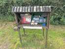 Fresh eggs for sale