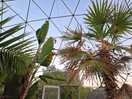 Tropical dome view
