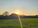 Beautiful sunset
