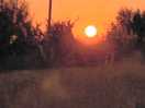 Beautiful full moon