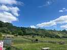 View from the farm