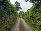 The road up to the field. all the roads around the field are like this.