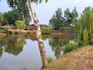 Fish pond