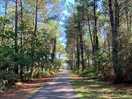 Cycling to the nearby lake, beautiful scenery