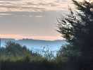 Low morning mist
