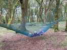 Hammock