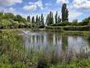 The lake