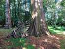 Den building