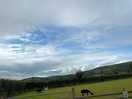 Beautiful views with the great additions of the animals