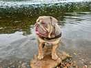 Dennis enjoying the river trent