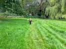 Peaceful countryside