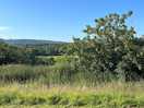 Sussex views