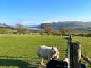 Looking out onto the fields