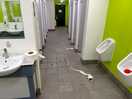 The state of the toilet/shower block. wasn’t cleaned until multiple people complained.