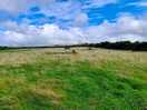 Site