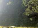 The bench in the sun!