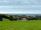 The view