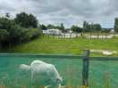 View across part of the site from the garden centre end