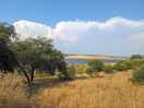 Playa pantano cerca