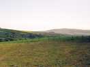 Views of the downs in the morning