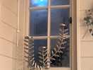 Moon shining through the window