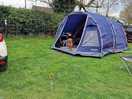 Kodi enjoying camping