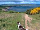 Cleveland way