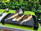 Grill
