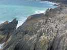 Bull bay