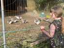 Selling hello to the animals