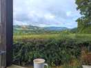 Views from the hut