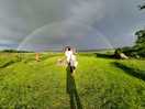 Rainbow says it all