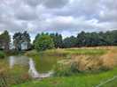 Fishing pond